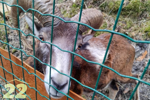 Prvňáci navštívili Farmapark U Toma