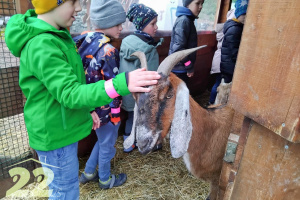 Prvňáci navštívili Farmapark U Toma