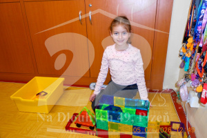 2026-02-05_12-49-01